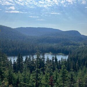 Meet your Posher, Jule